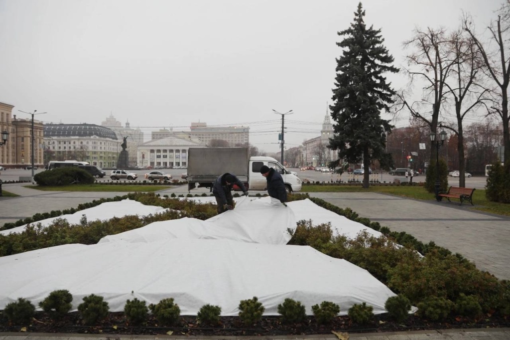В Воронеже в сквере им. Ивана Бунина клумбы подготовили к зиме