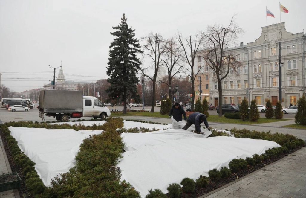 В Воронеже в сквере им. Ивана Бунина клумбы подготовили к зиме