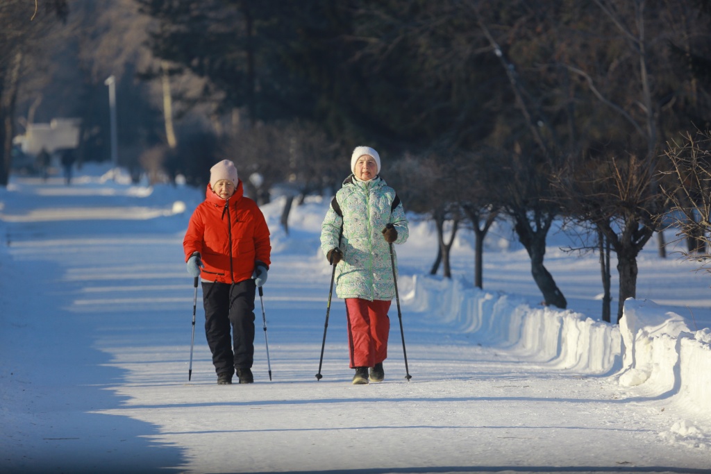 Новосибирцам предлагают проголосовать за объект благоустройства 2025 года