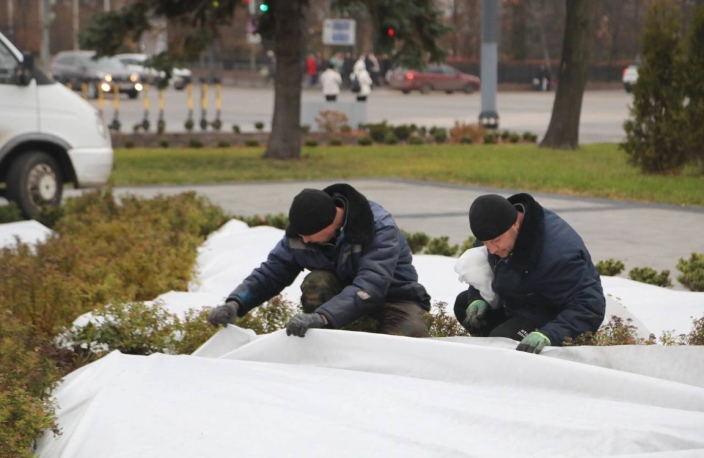 В Воронеже в сквере им. Ивана Бунина клумбы подготовили к зиме