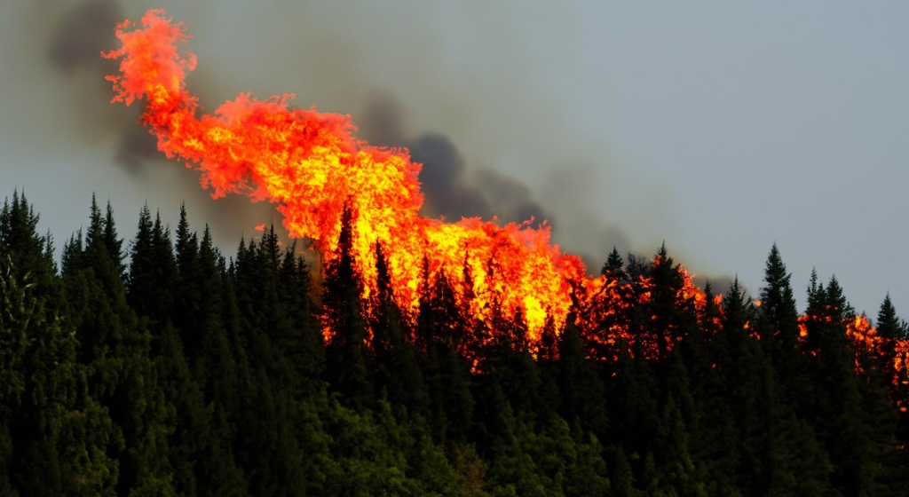 В Приангарье создадут группировку беспилотников для предотвращения лесных пожаров