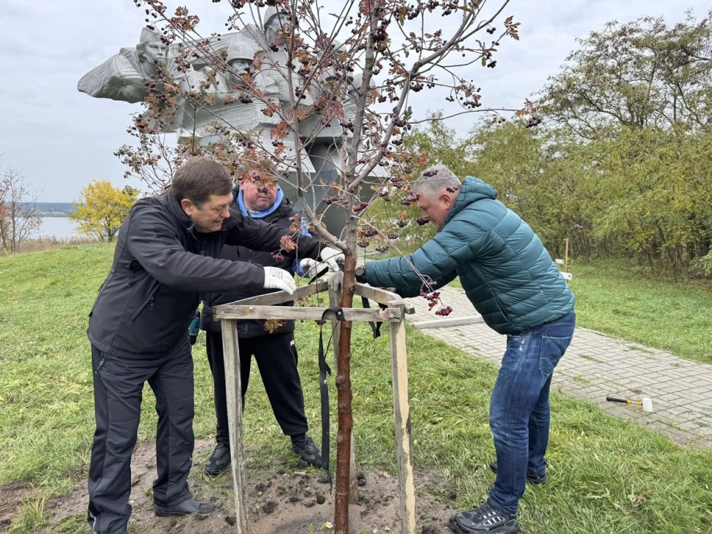 В Воронеже депутаты гордумы совместно с избирателями навели порядок во дворах и парках