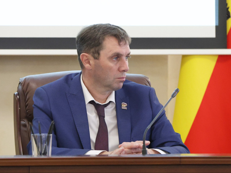 Сергей Петрин провёл еженедельное планёрное совещание: озеленение Воронежа и старт проекта метробуса — ключевые темы