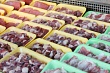 В Иркутской области за месяц было проведено 260 мероприятий по пресечению несанкционированной торговли мясом и продукцией животноводства