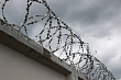 В Оренбуржье членов преступной группы осудили за вымогательство денег у участников спецоперации